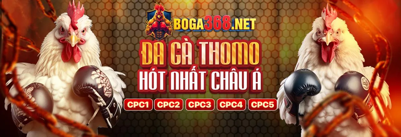 Đá gà trực tuyến kịch tính tại gk88 link vào